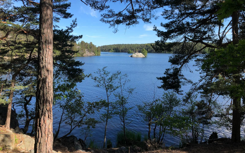 5 cose da fare a Stoccolma, un escursione al parco di Hellasgården