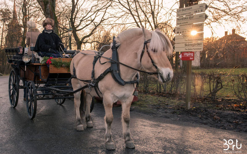 i mercatini di Natale a Stoccolma a Skansen 