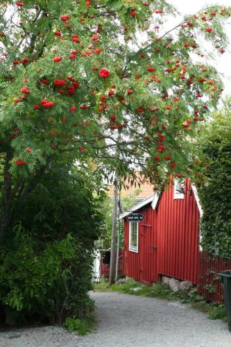 Foto: Helén Johansson -  Cronhamnsgränd