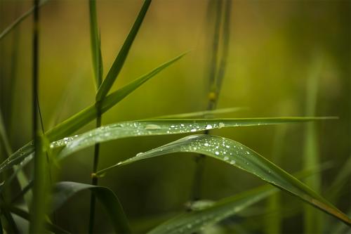 L-Efter-regn-kommer-solsken-4