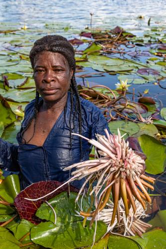 Per-Järtby-Harvest-in-Okavango