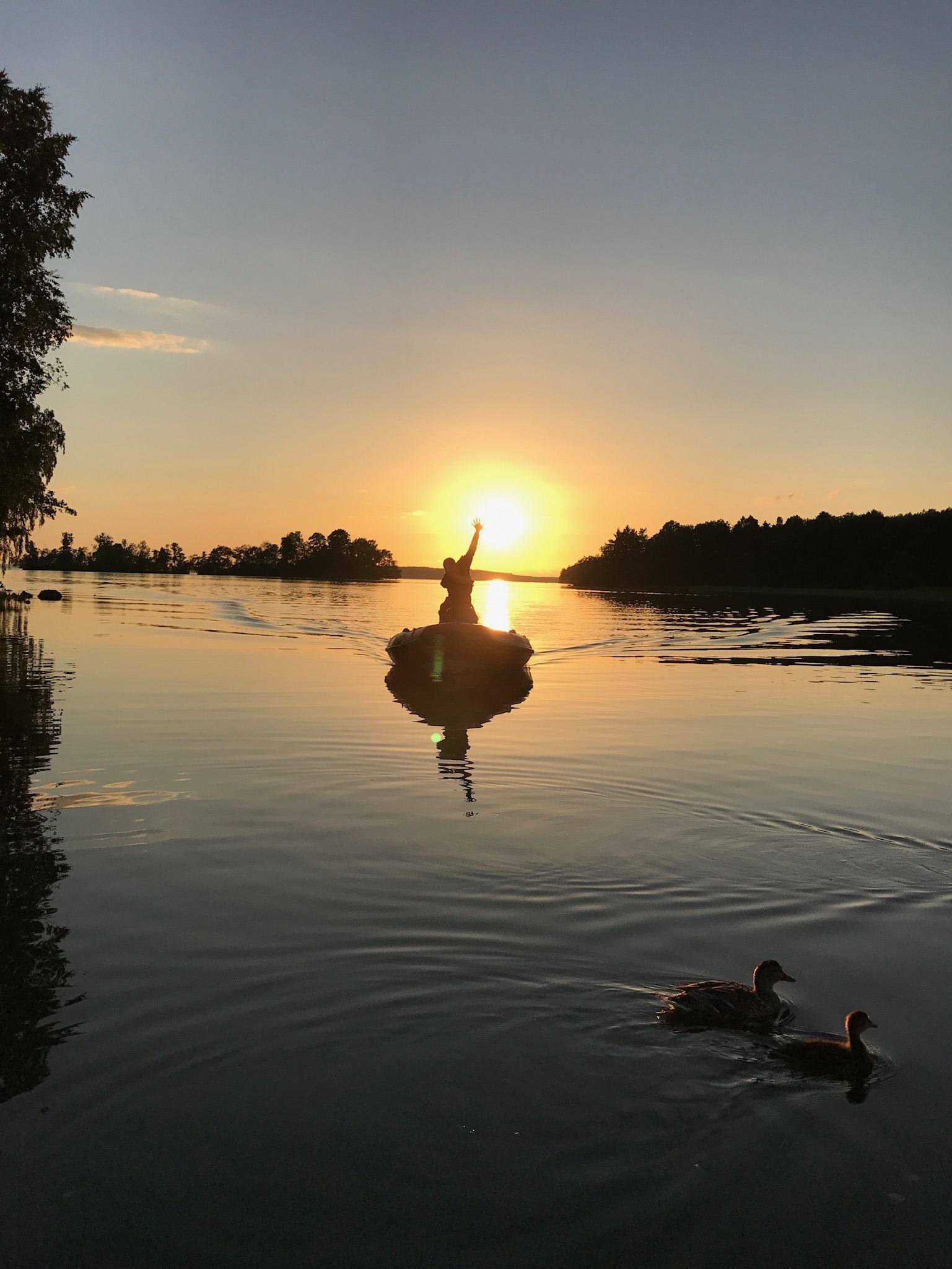 Höstens kappseglingar