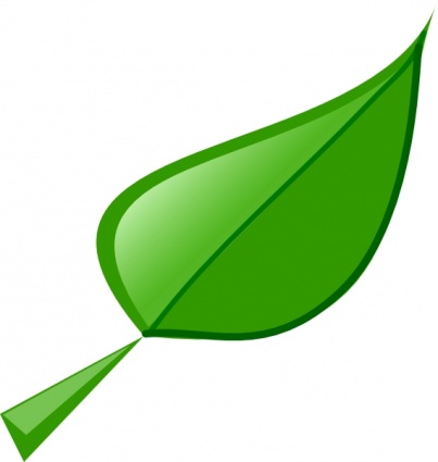 leaf