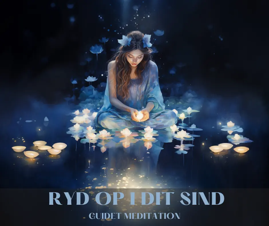 Meditation - RYD OP I DIT SIND