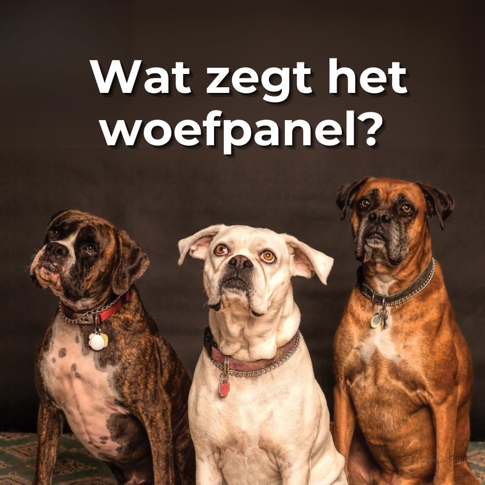 online zichtbaarheid op social media - woefpanel