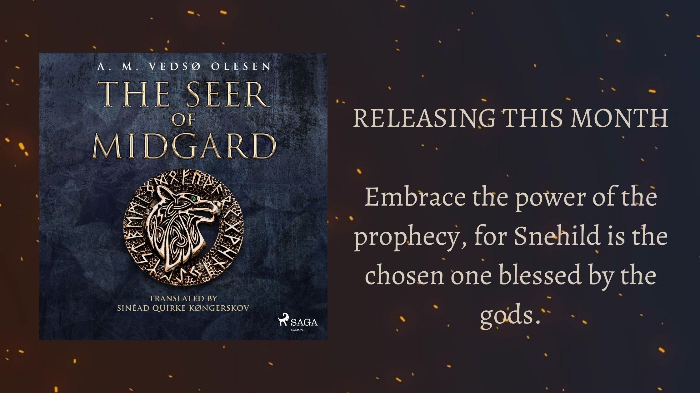 The Seer of Midgard: NOW OUT!
