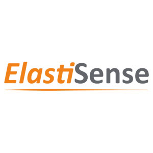 ElastiSense Logo | 2023