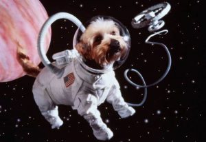 spacepets