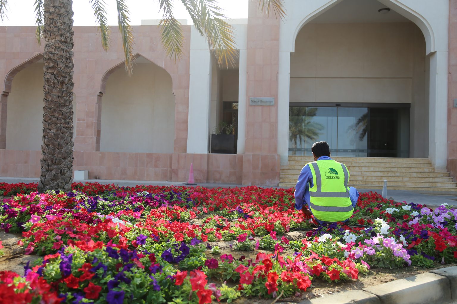 A Guide to Planting SeasonalFlowers Sultanate of Oman Sohar Tech Park