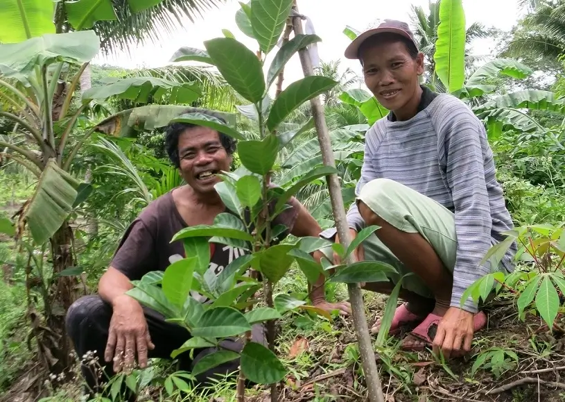 Agroforestry-impact-investing-Philippines-ESG-CSR-Stramasa