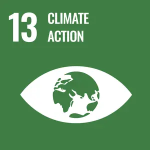 Climate Action - UN Sustainable Development Goal 13