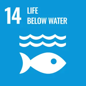 Life Below Water - UN Sustainable Development Goal 14