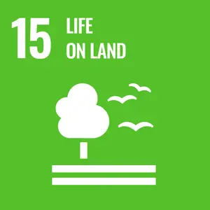 Life On Land - UN Sustainable Development Goal 15