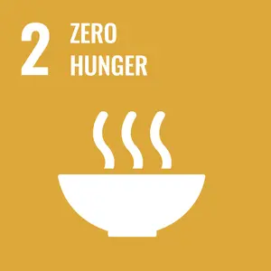 Zero Hunger - UN Sustainable Development Goal 2