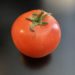 tomat kvisten