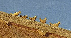 Thatched Roof Ornaments