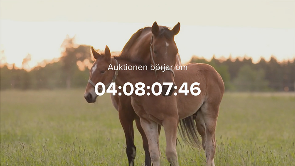 Menhammar Online Sales Nu är vi nära Streamrocket AB