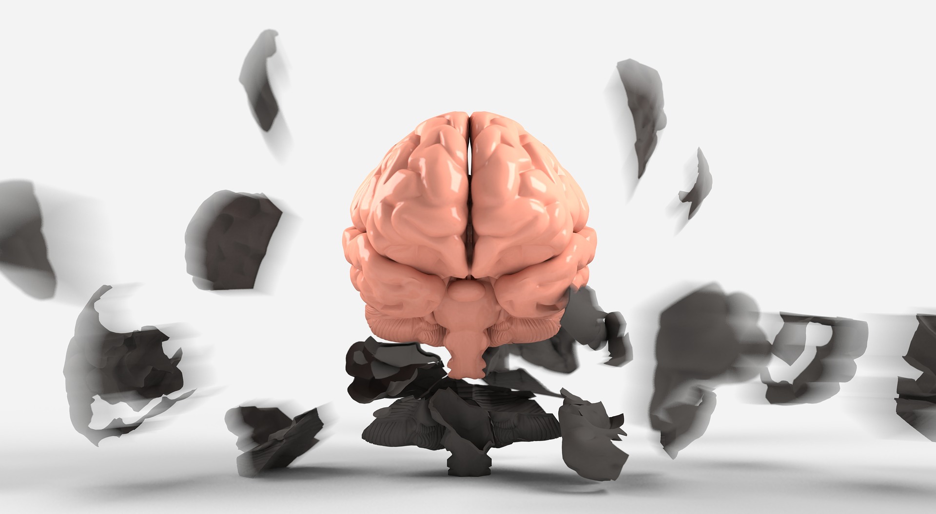 brain-3439067_1920