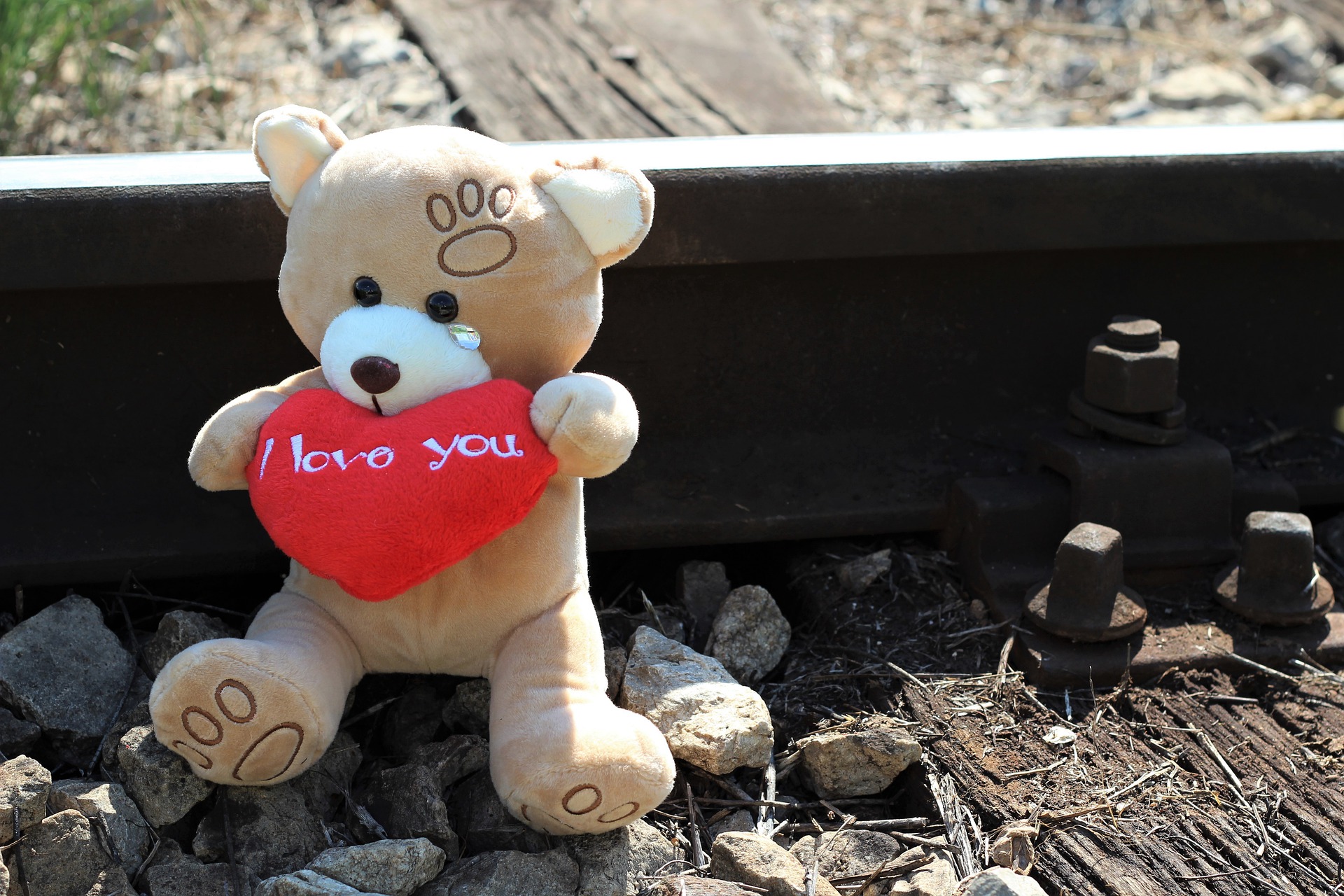 teddy-bear-crying-5004790_1920