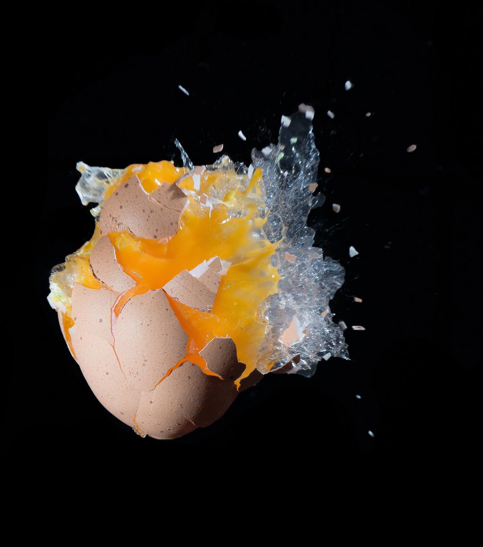 egg-2475886_1920