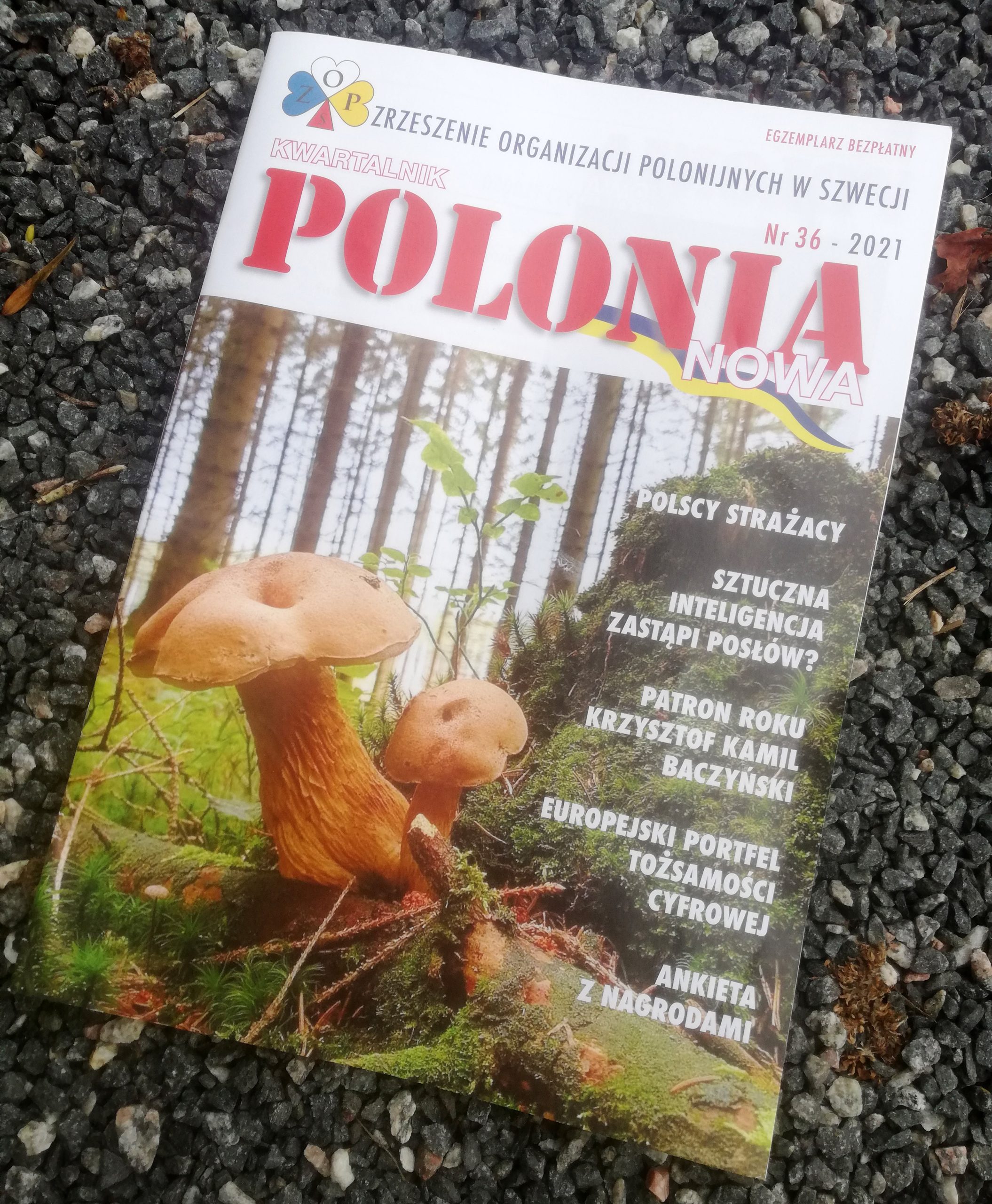 polonia 36