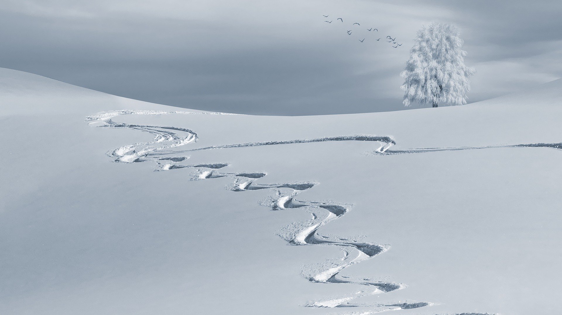 wintry-gf48510961_1920