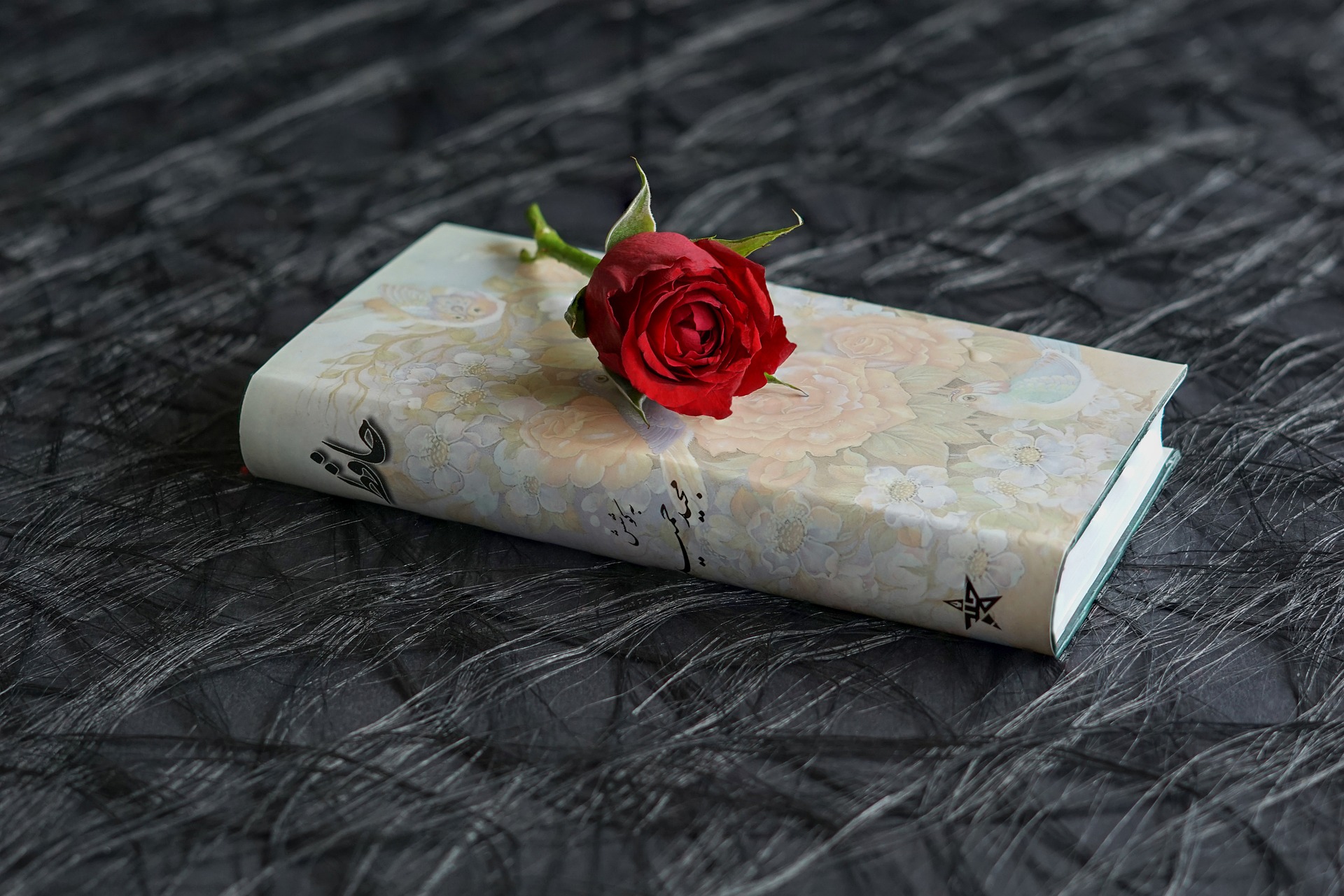 a-book-gdd4c680bc_1920