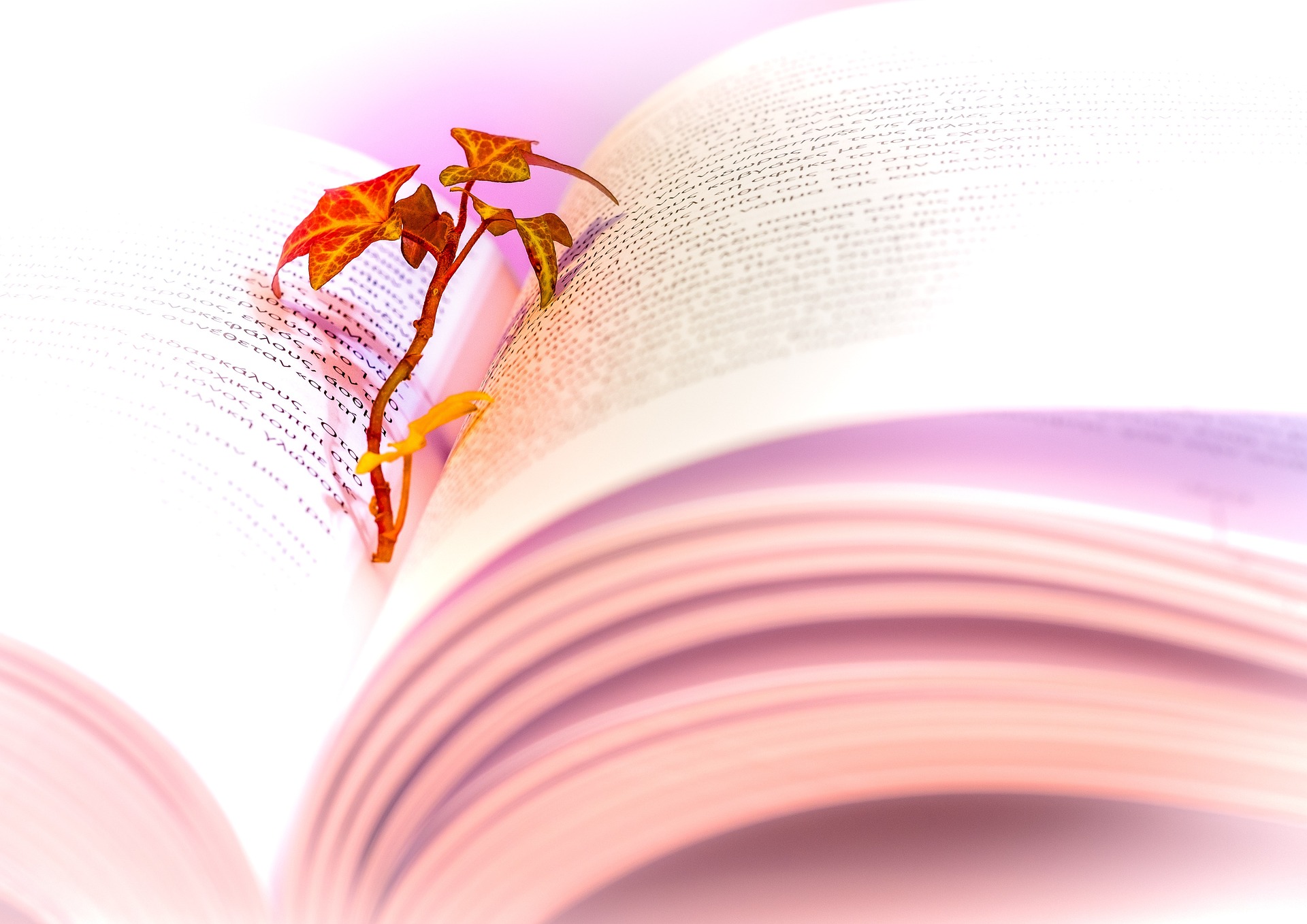 book-gf715f4c3d_1920