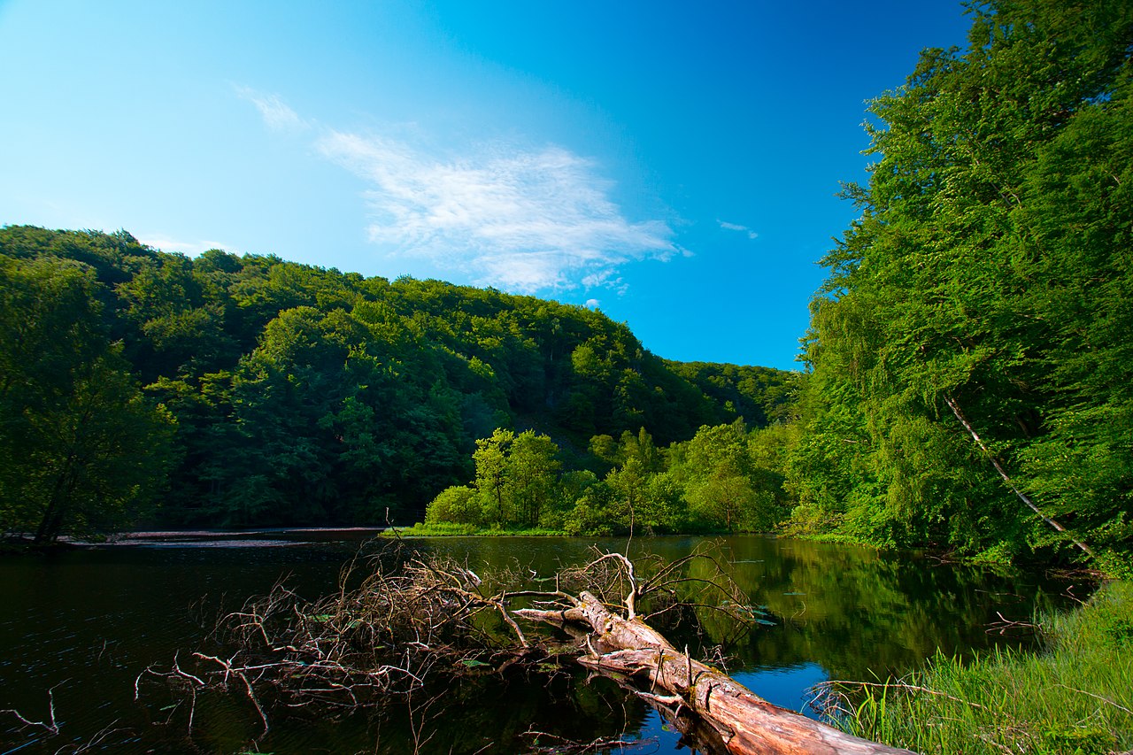 1280px-Söderåsens_nationalpark