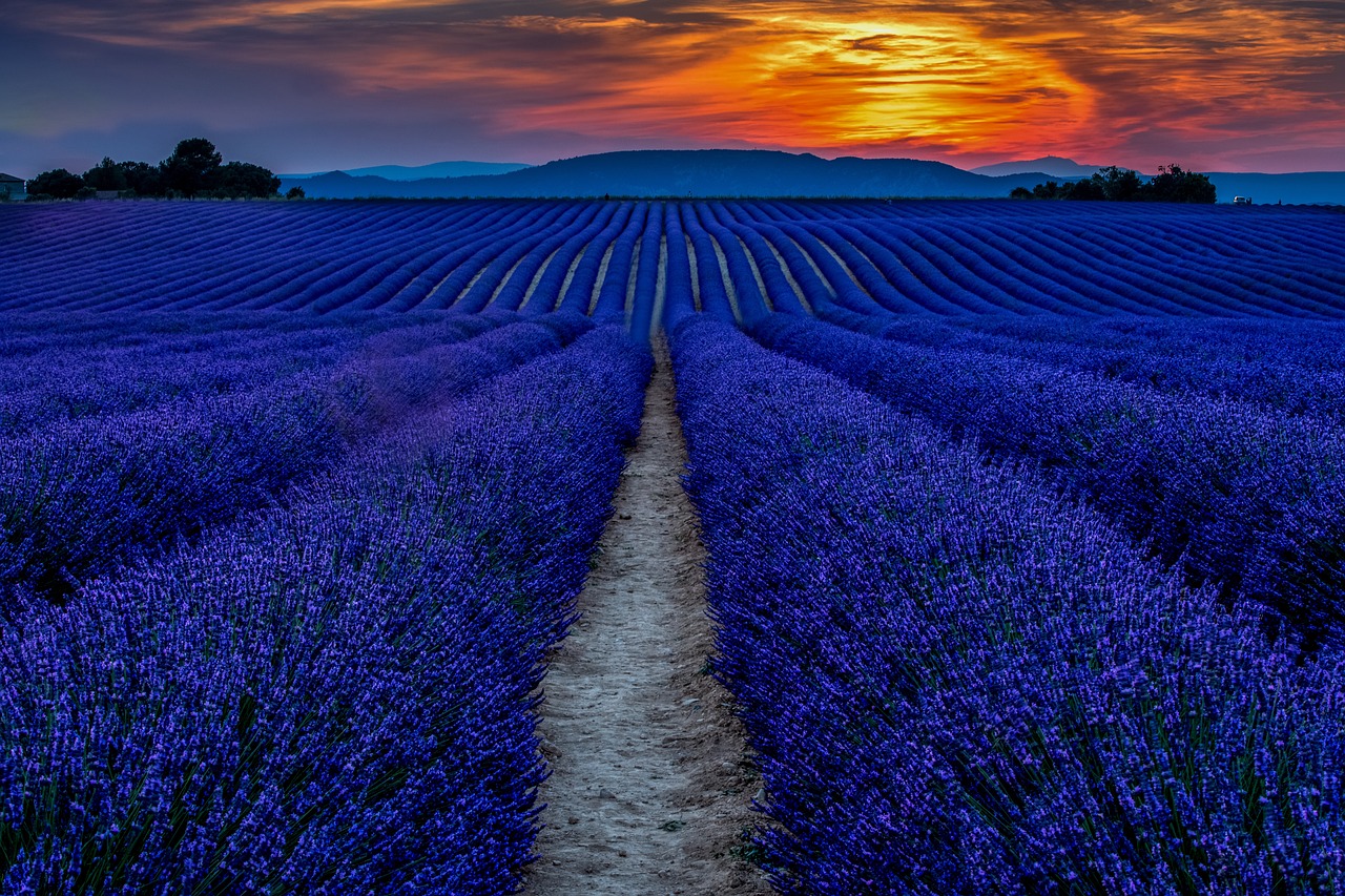 sunset-6007980_1280