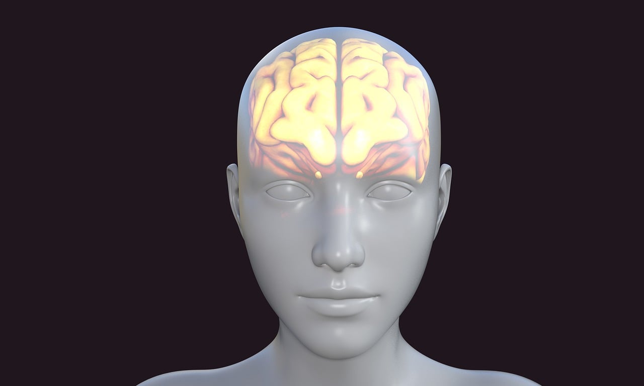 human-5937756_1280