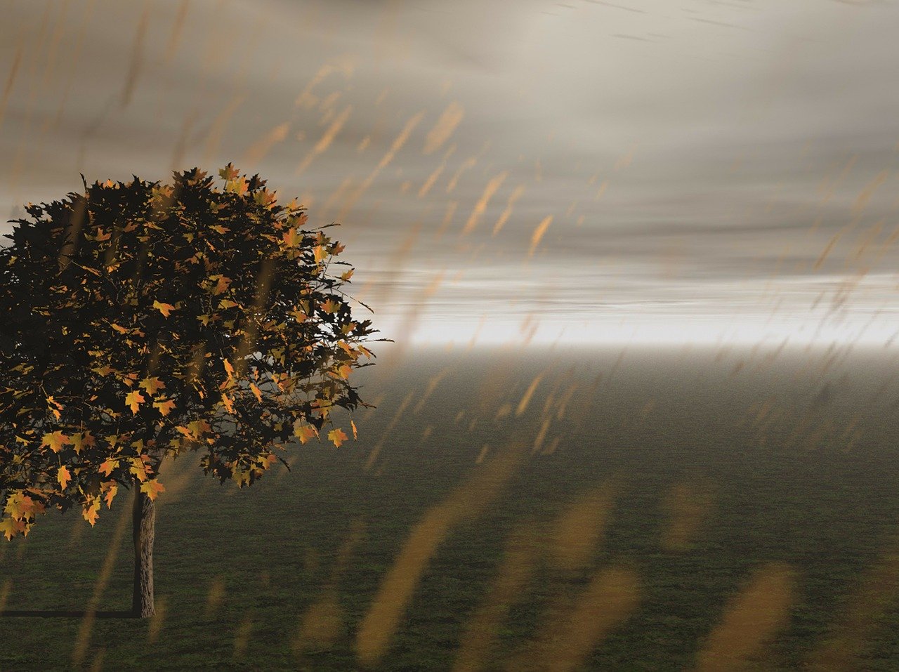 rain-68058_1280
