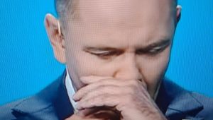 dzialka