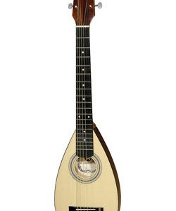 Hora travel guitar - handig compacte gitaar voor op reis