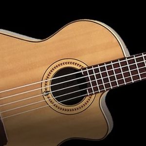 Snaren akoestische basgitaar