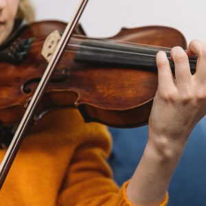 Snaren strijkinstrumenten
