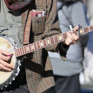 Snaren traditionele- en wereldinstrumenten