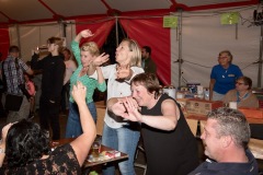 Kattefeesten-2017-165-van-371