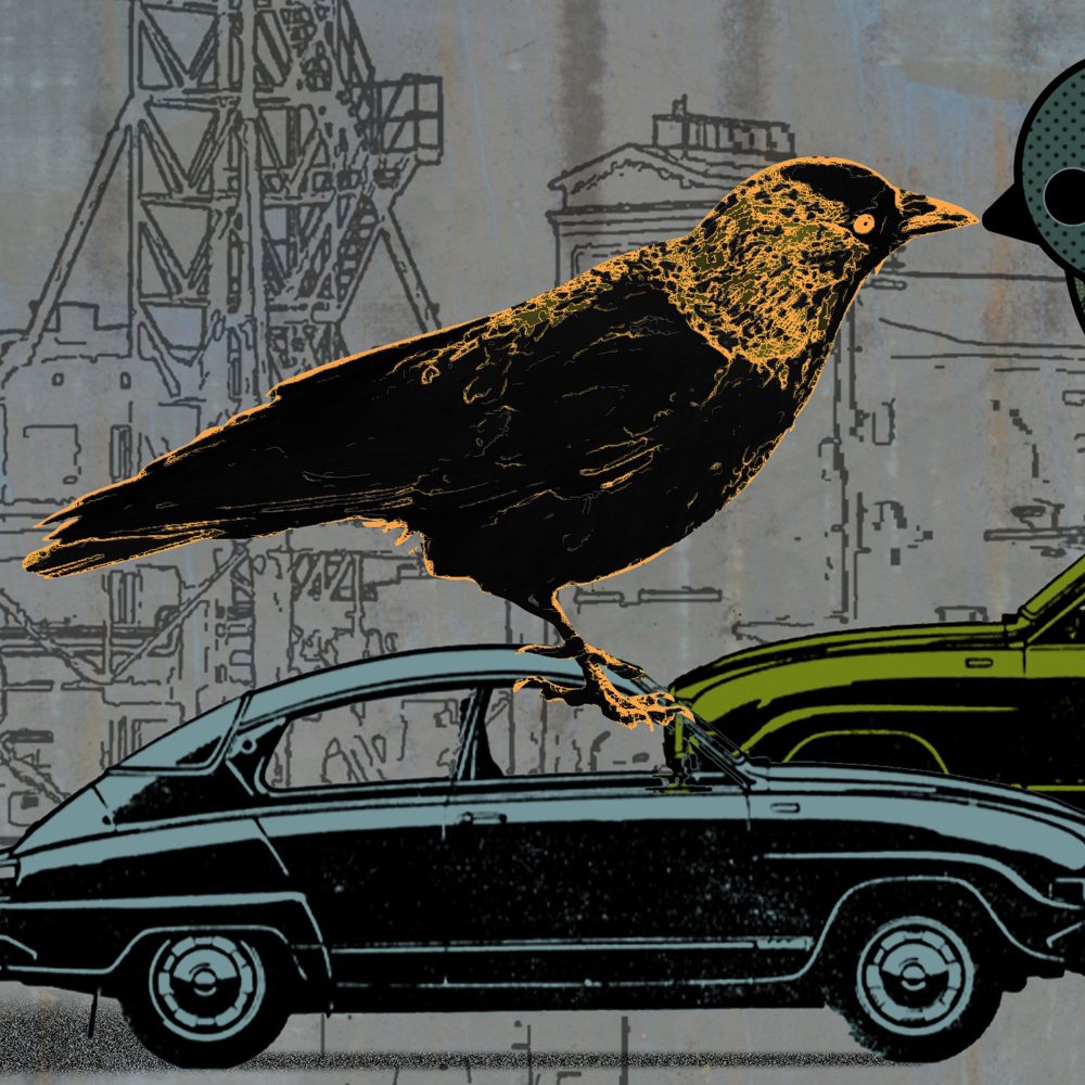Två fåglar på två bilar - Studio Caro-lines