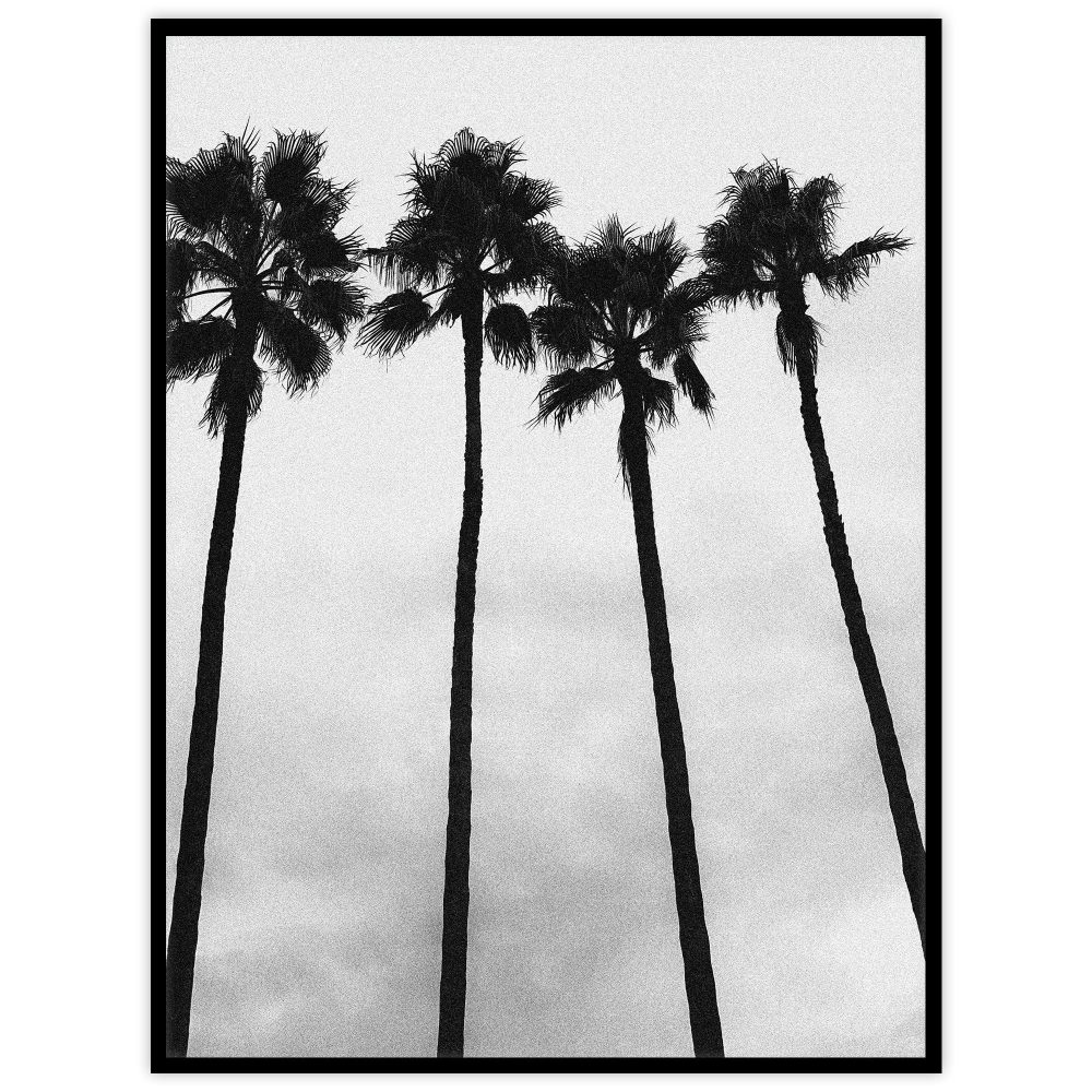 Långa palmer