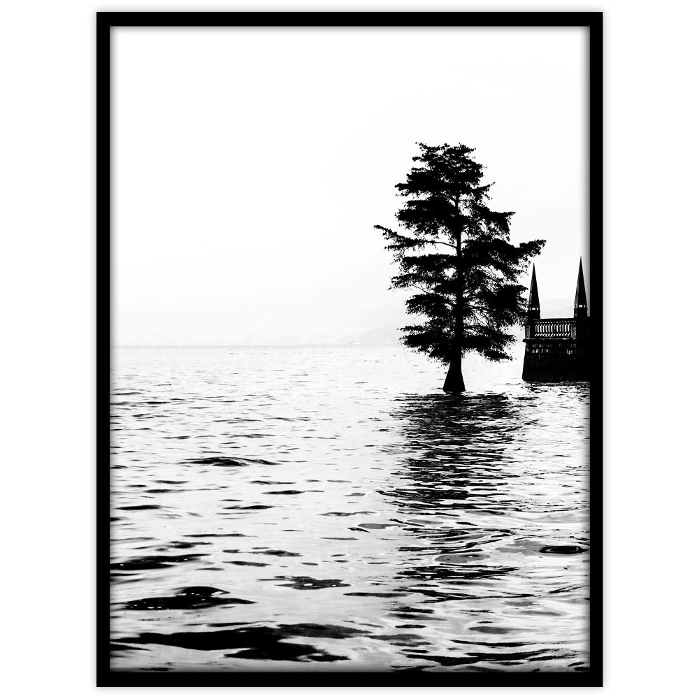 Träd i Maggiore-sjön - Studio Caro-lines