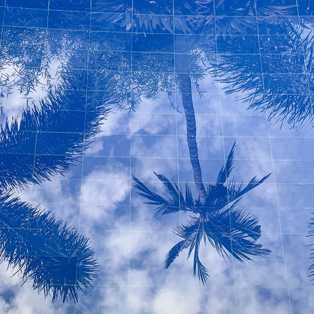 Poster med ett fotografi av palmblad som reflekterar sig i vattnet på en pool