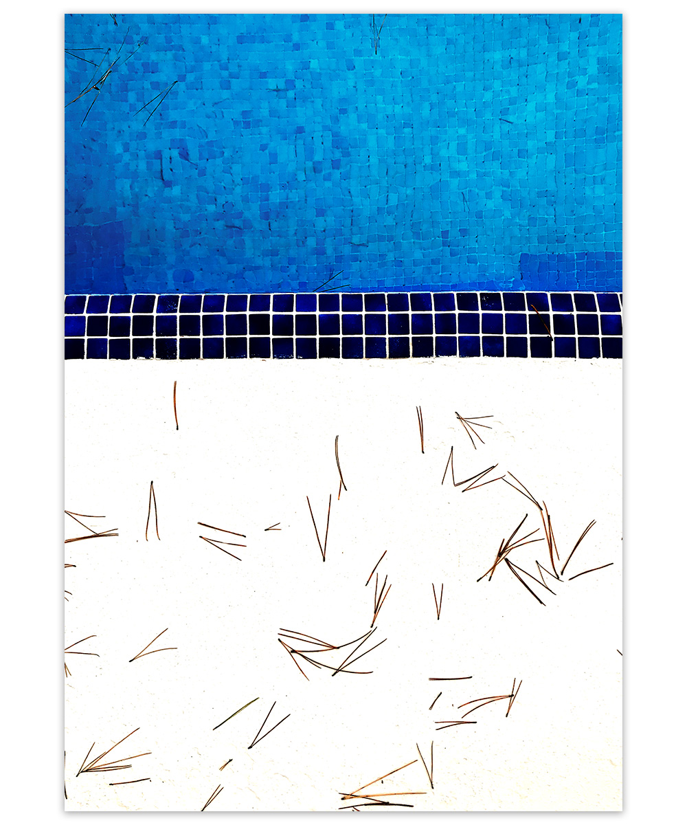 Autumn swim - poster till hemmet