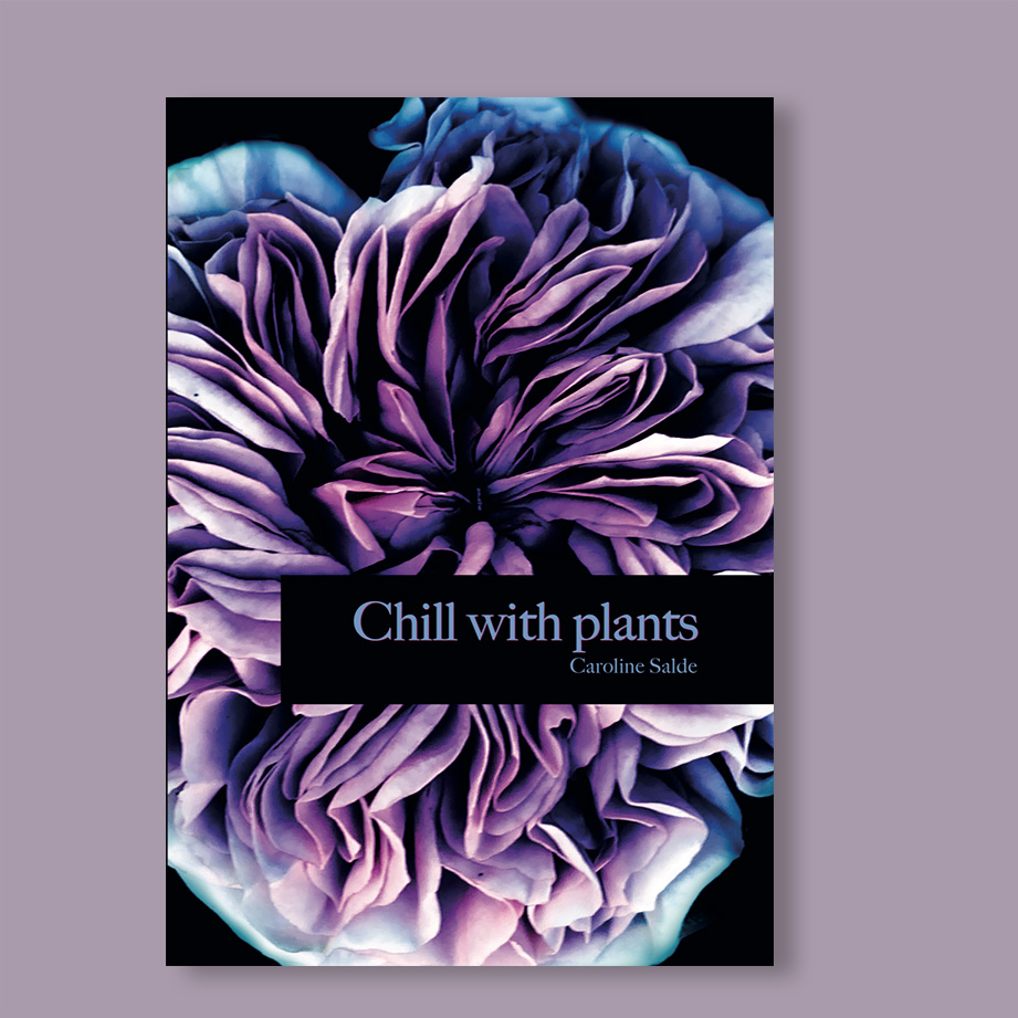 Chill with plants