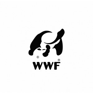 Transformation Logo WWF - Tortue étoilée de Madagascar - Black and white Logo madagascar tortoise - Studio Karma - Graphic designer - Houston Humble Texas