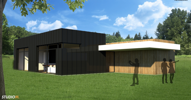 Kubistische bungalow 3D 1 ALO