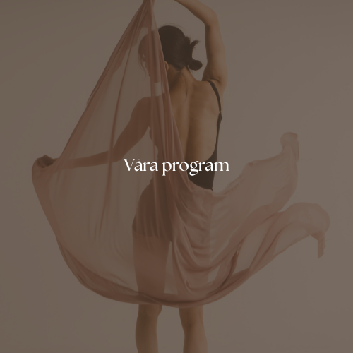 Hälsoprogram i Göteborg hos Studio Mione Clinic
