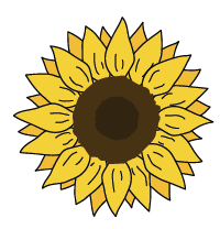 Solsikke