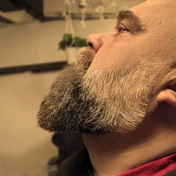 skägg, beard, sharp, skäggtrim, beard trim