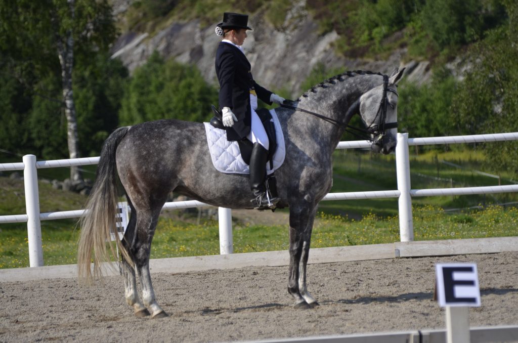 Marianne och Vilja Tävling i Färgelanda